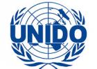 Бизнес-планирование, профессиональная разработка, составление бизнес-планов по стандартам UNIDO